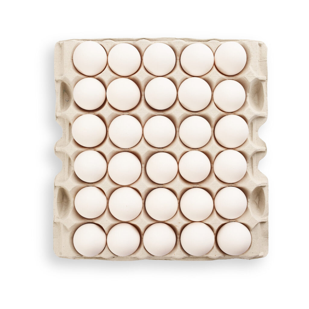 Smart Eggs - Flat