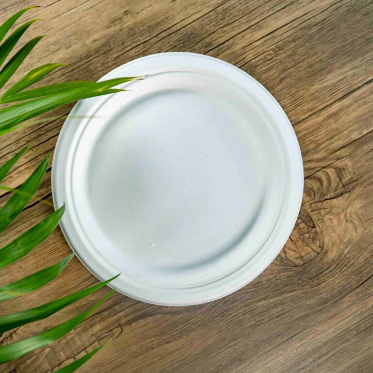 Bagasse Plate