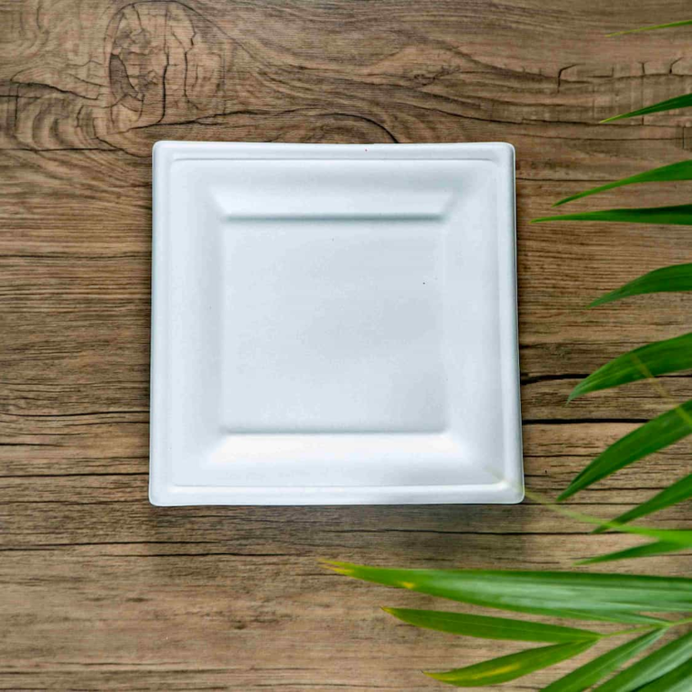 Bagasse Plate square 10inch